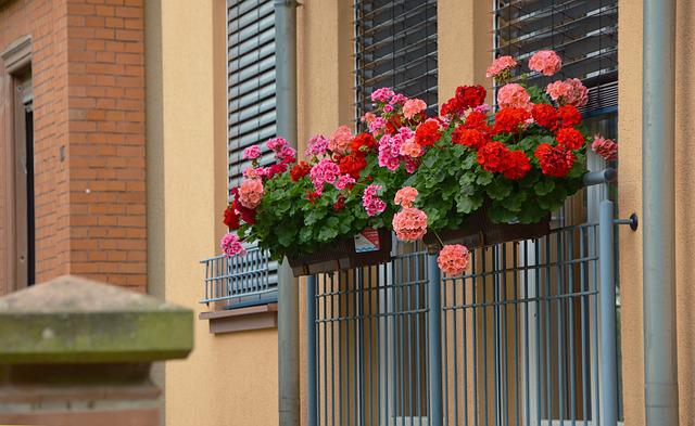 Co musisz wiedzieć o uprawie roślin na balkonie?